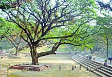 যেখানে শোনা যায় পাখির ডাক, শরীর জুড়ায় নির্মল বাতাসে, সেই পরিবেশ আর থাকবে না।